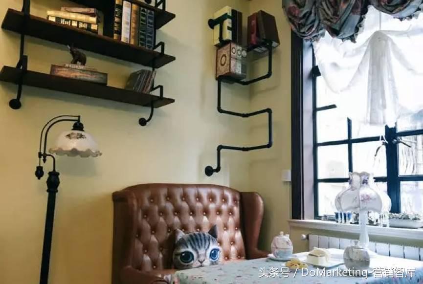 不撸猫做不好萌宠广告？你今天吸猫了吗？