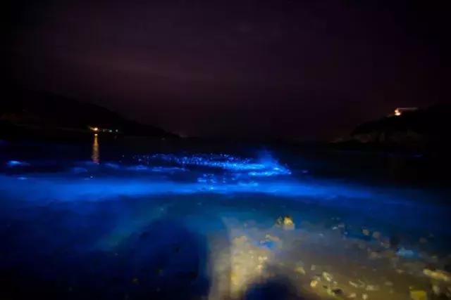 花鸟岛海岛游,花鸟岛海岛旅游