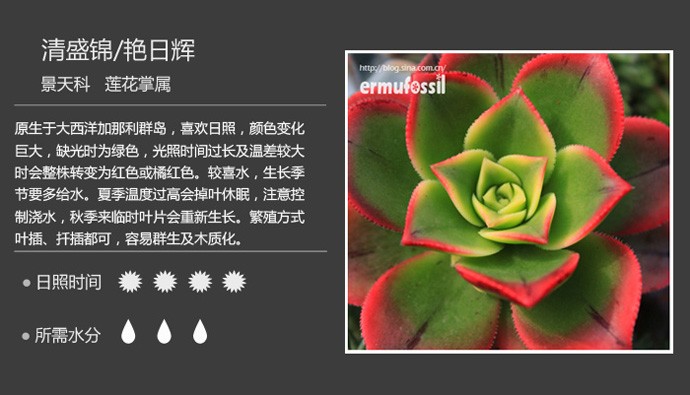 史上最全的多肉植物名字对照图，终于找齐了！