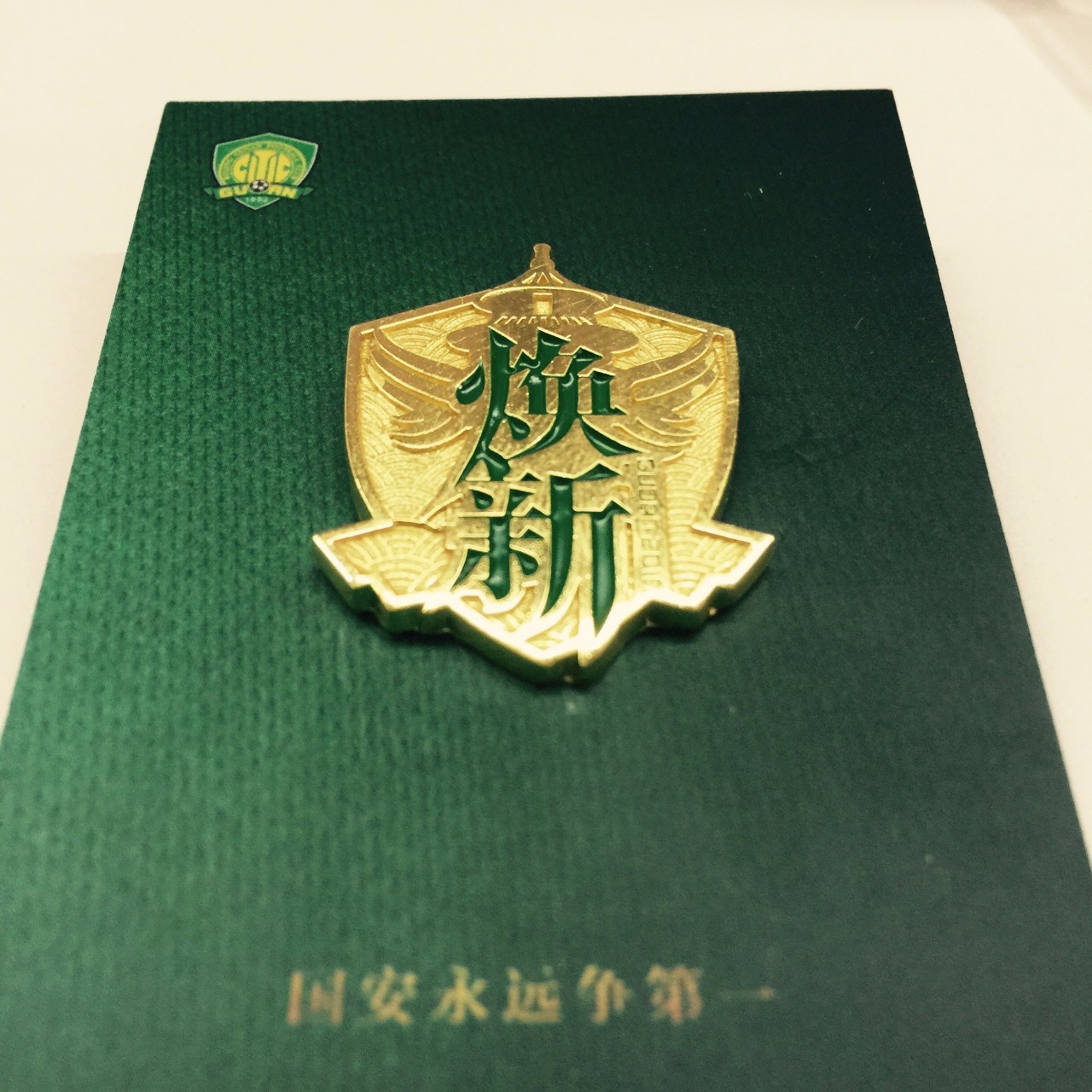 国安全部徽章,国安徽章