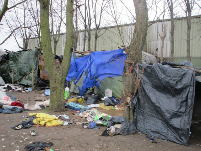 最新热点：加莱的“丛林孤儿”，你们在哪里？