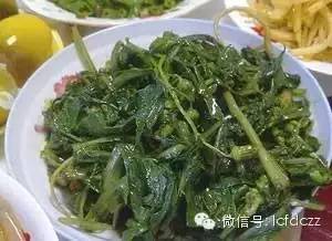 春季野菜采摘图解高清图片,春季野菜多种做法