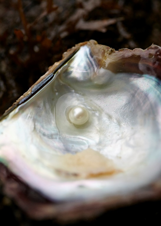 作为女人你可以不漂亮不富有,beauty护肤