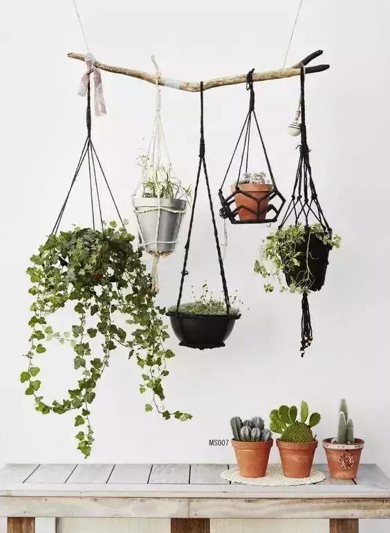 如何把小户型阳台改造成小花园,如何把露天阳台设计成花园