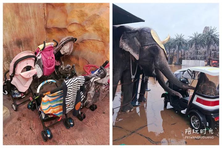 适合儿童去玩的恐龙世界,小孩都爱去的恐龙园