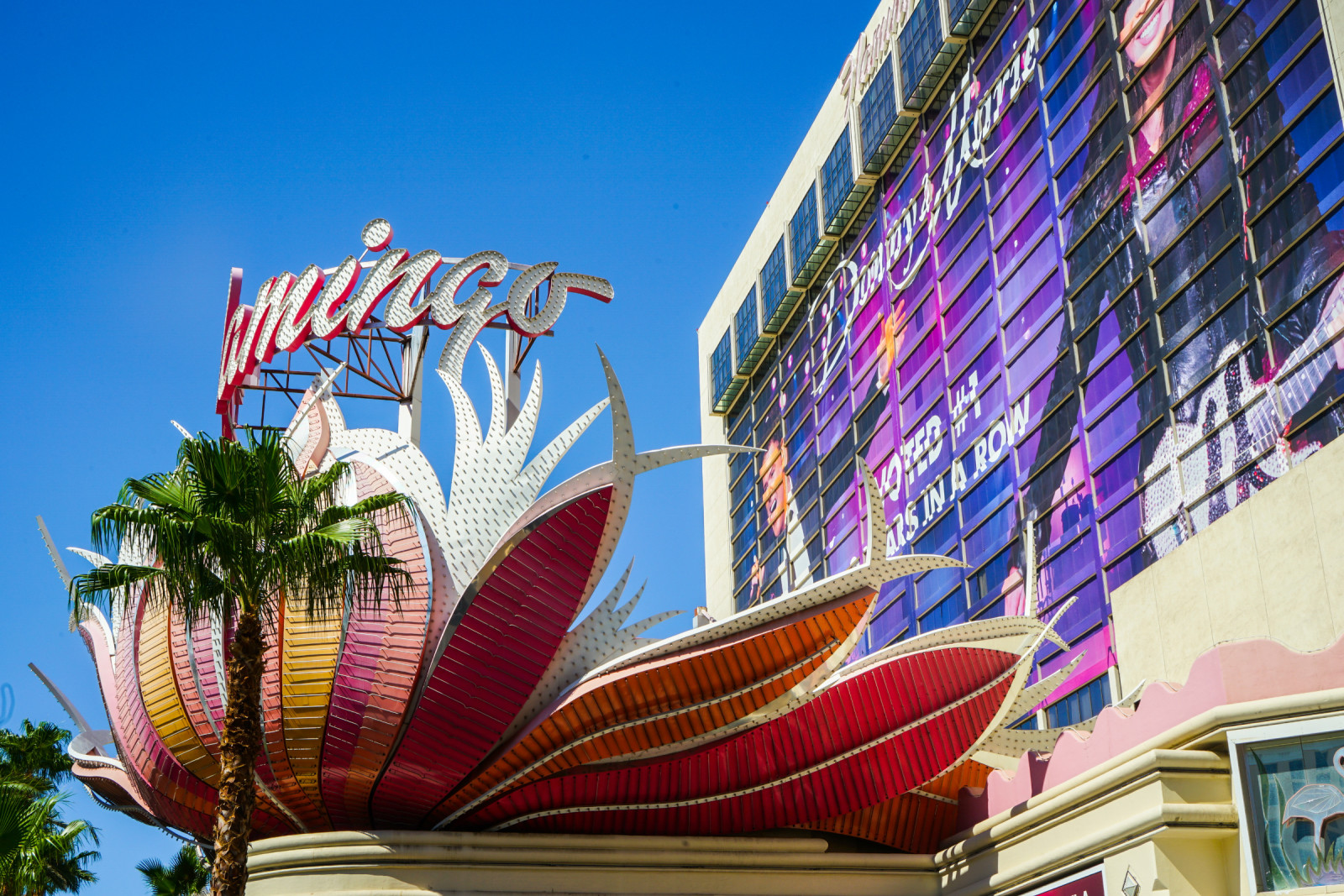 美国西海岸7天自驾游,西海岸周边自驾游推荐