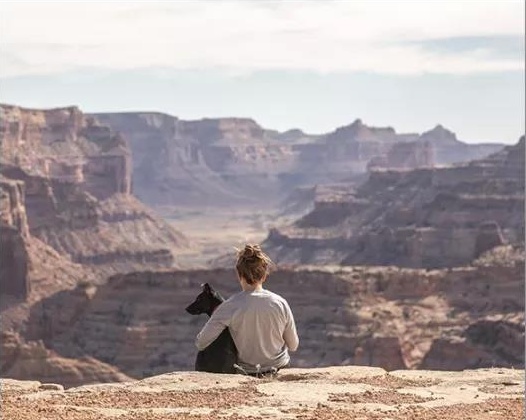 女人说一句对不起就行了,每一个女人都该被温柔以待