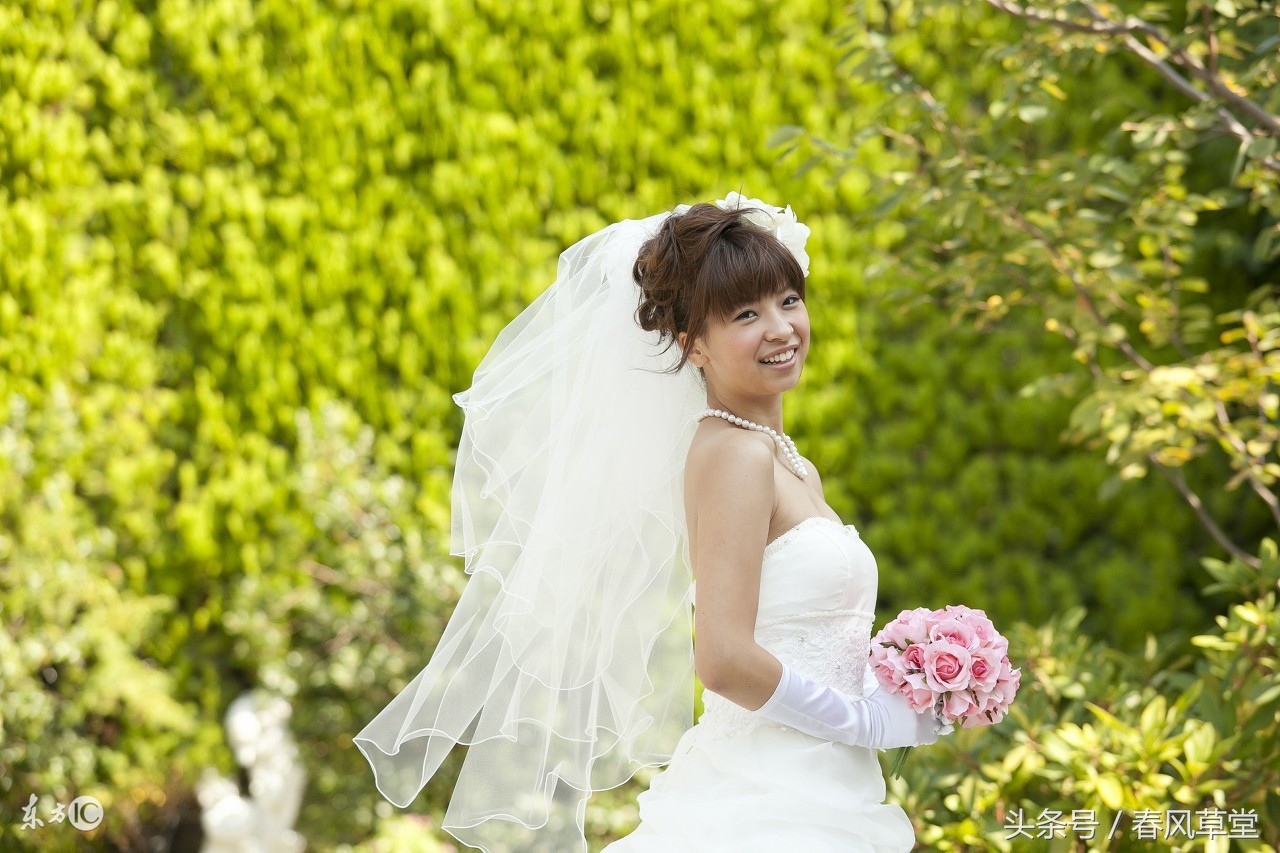 老魏说事,老魏说事47集