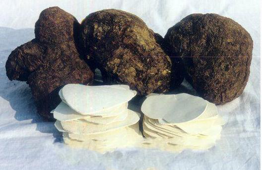 紫癜导致的尿潜血2+怎么办,紫癜尿蛋白反复