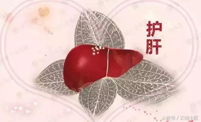 百病从肝治一书怎么样,百病从肝治视频