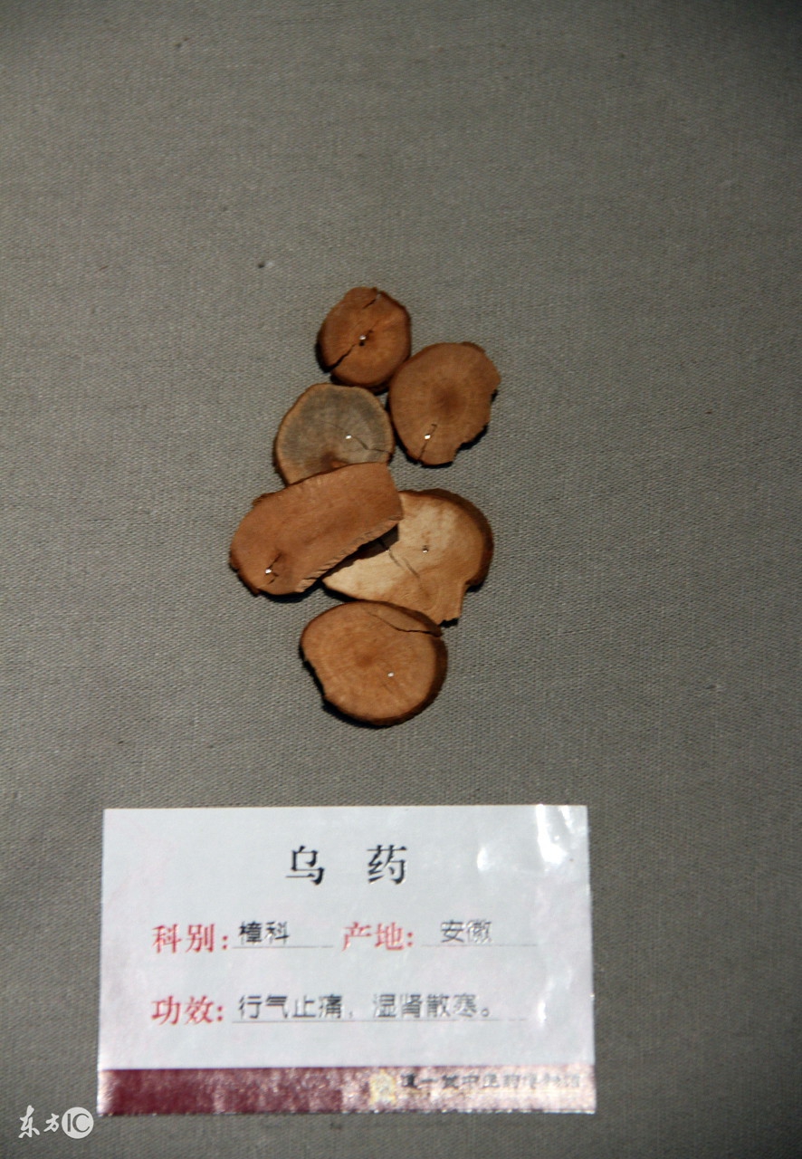 教你一招解决小孩尿床的方法,6-12岁儿童尿床妙招