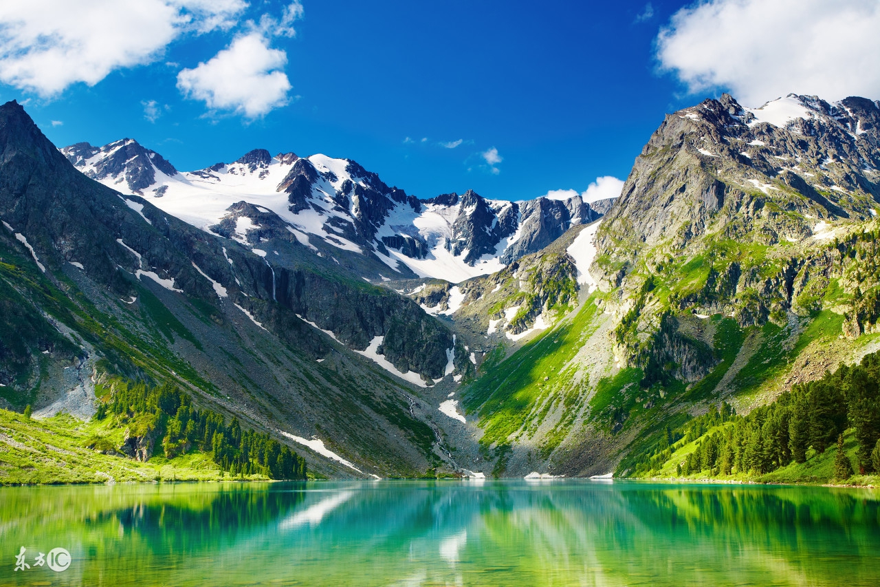 2018出生的狗宝宝几月出生好,2018年狗宝宝几月出生最好