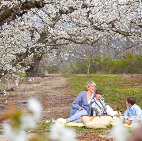 绝不瑟缩于人生的安全角落，只做自由炽烈的花朵