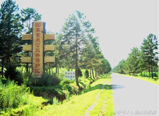 东北十大鬼城黑龙江省齐齐哈尔,一个人穷游中国黑龙江齐齐哈尔