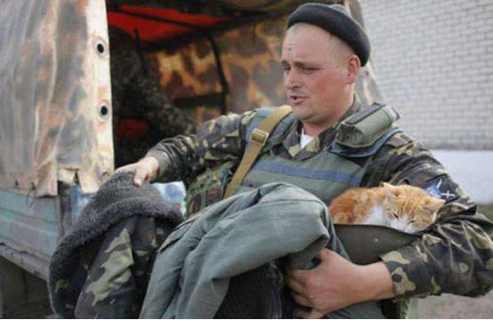 猫咪真的能治愈抑郁症吗,猫咪真的可以治愈一切