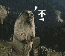 又润又显色的水光唇膏,润唇膏大牌平价水润不掉色服帖