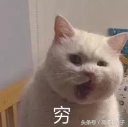 张天爱同款彩妆,不吃土就能买到的明星同款