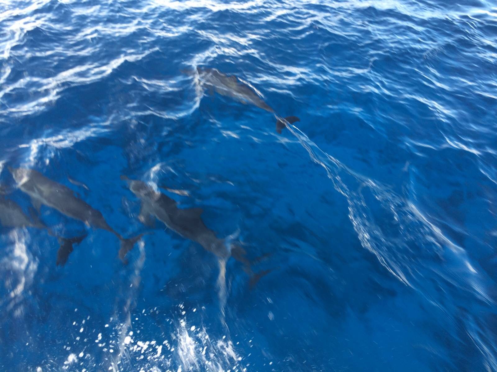 马尔代夫豪华蜜月游,马尔代夫六星级