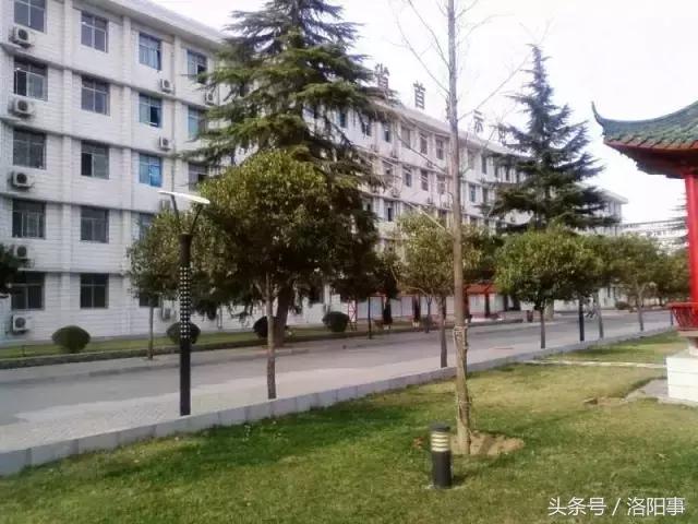 洛阳最有魅力的高中,洛阳市最牛逼的高等专科学校