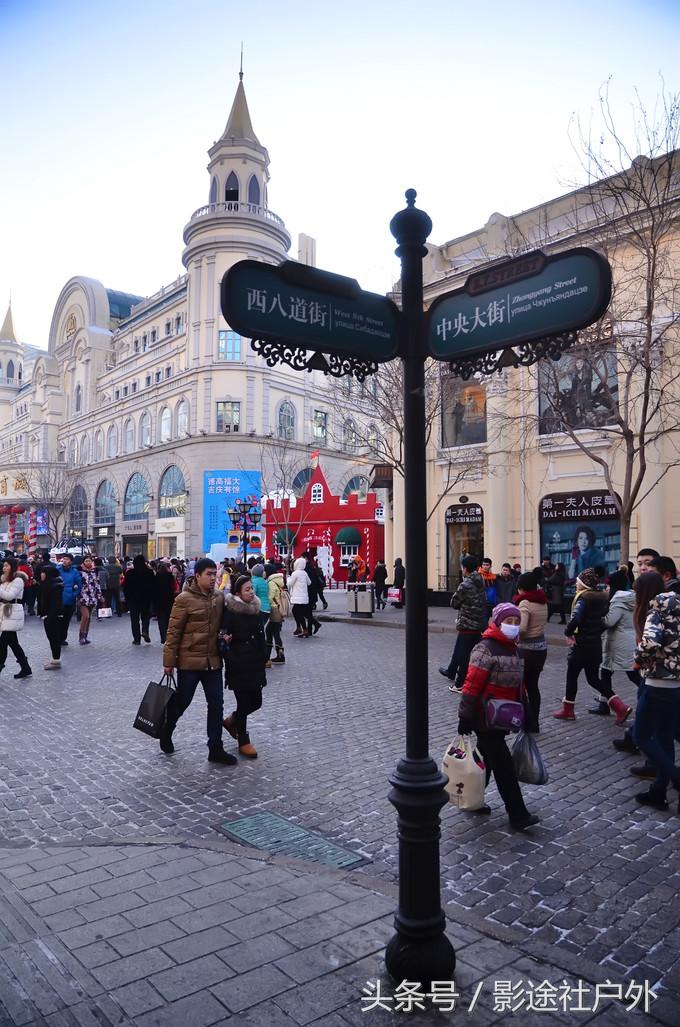 哈尔滨雾凇岛一日游,哈尔滨雪乡雾凇岛攻略