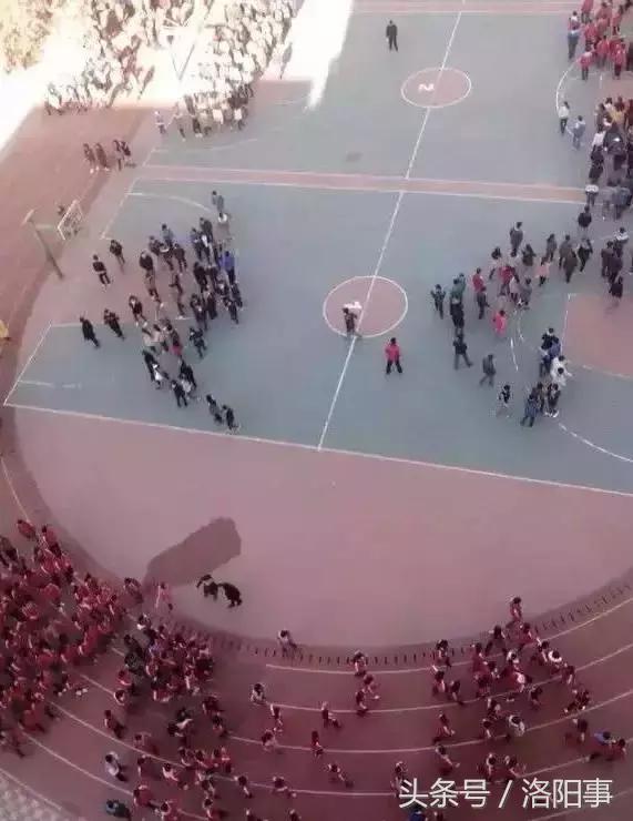 洛阳最有魅力的高中,洛阳市最牛逼的高等专科学校