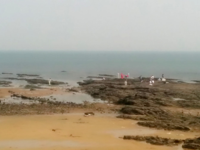 花果山游记400字以上,连云港花果山攻略