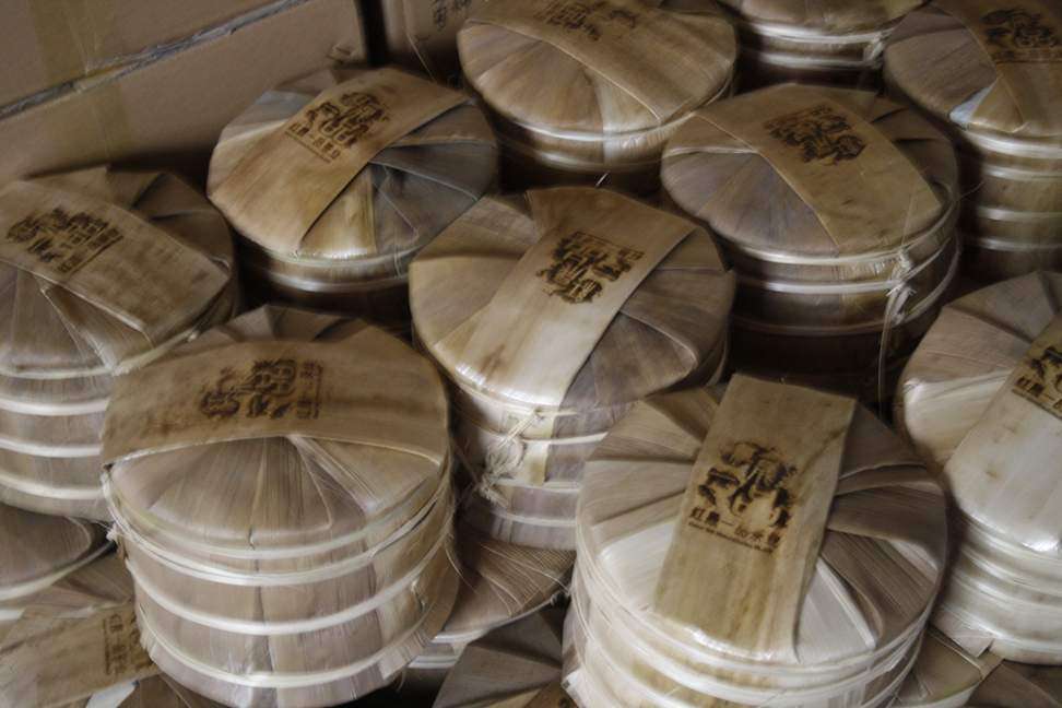 古树茶好喝吗视频,古树茶好在哪里