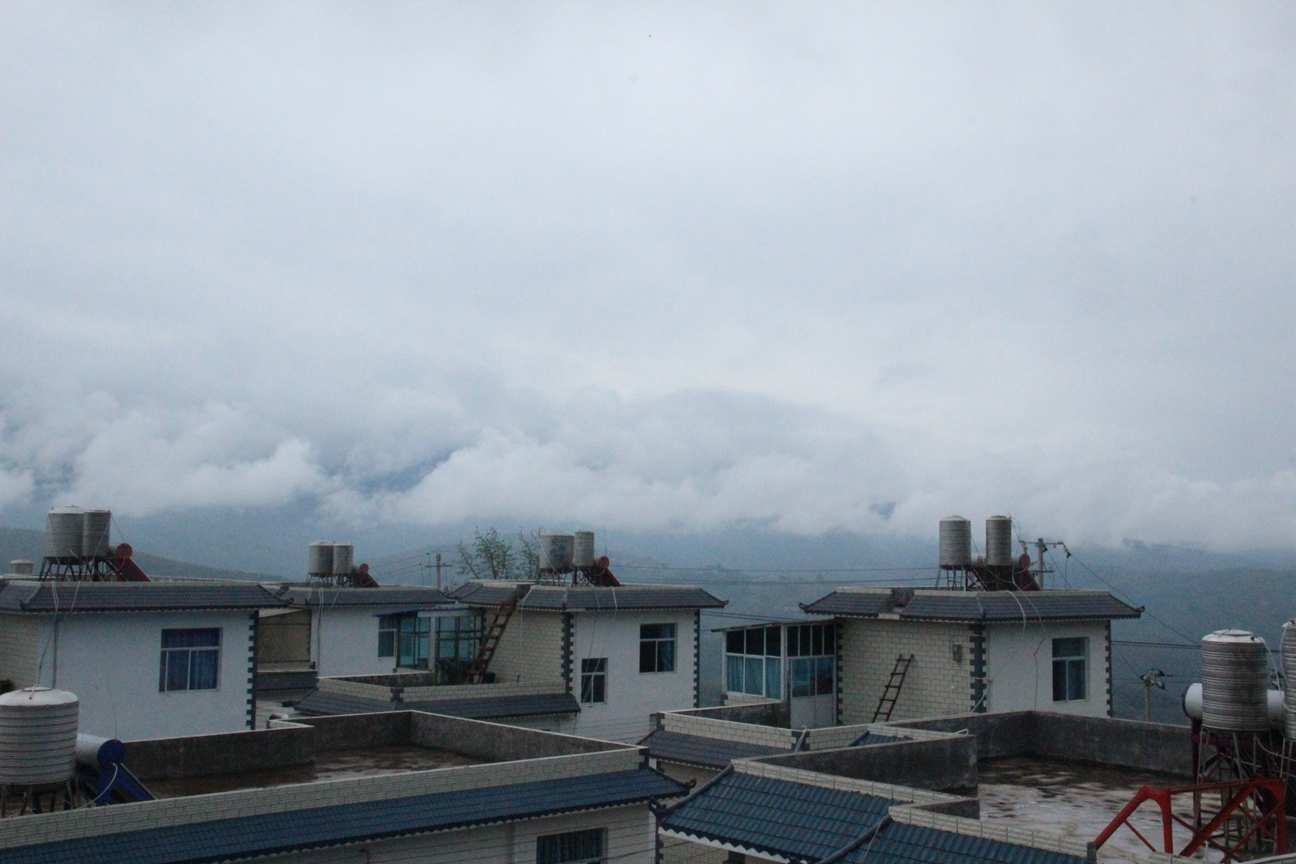 古树茶好喝吗视频,古树茶好在哪里