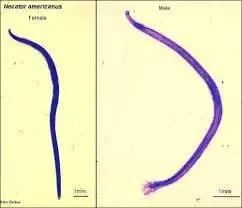 主子生病老不好，十有八九是因为没做这件事！