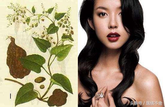 白发恢复黑头发的秘方,养发护发告别白发