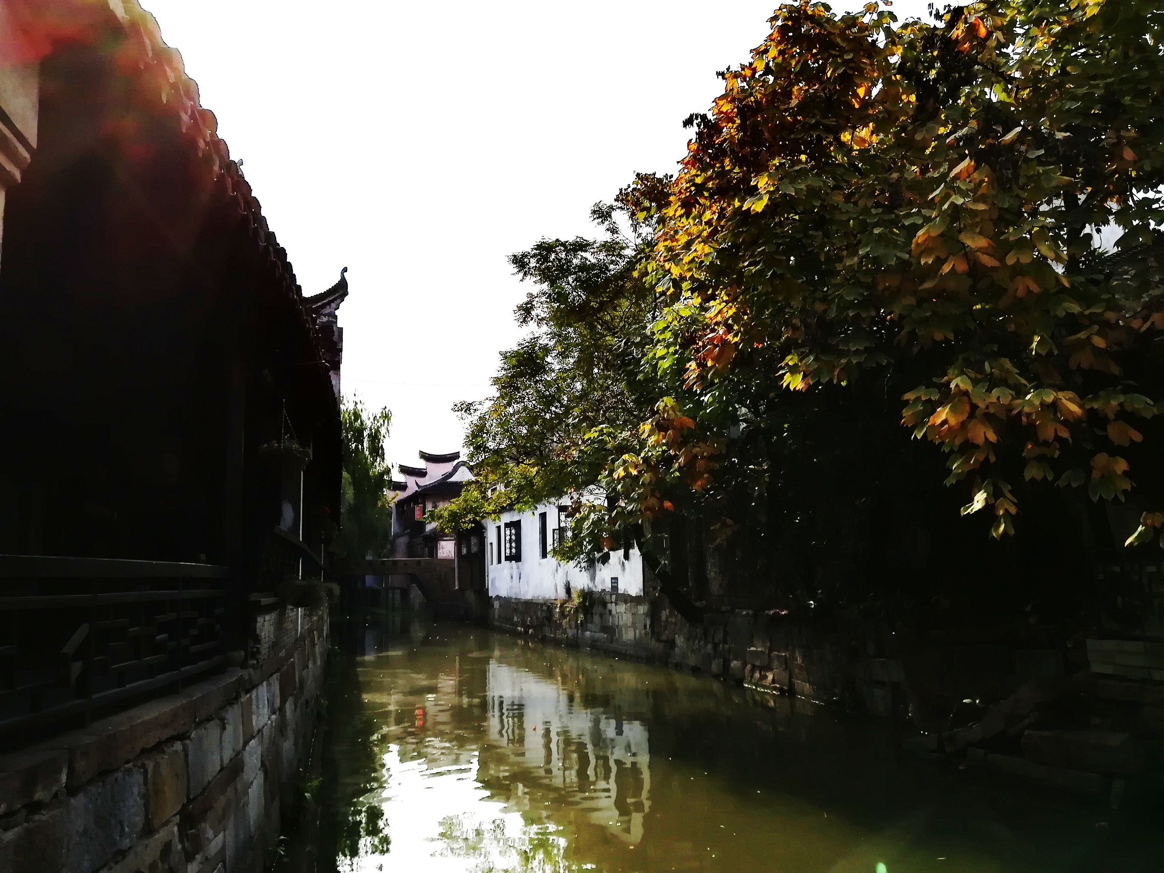 上海好玩地方推荐枫泾古镇,上海金山枫泾古镇地址