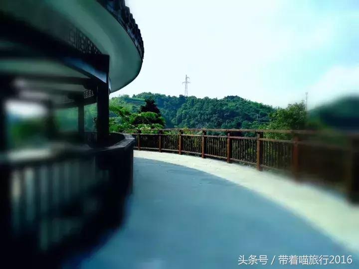 四明山该去哪,四明山观景台晚上能看风景吗