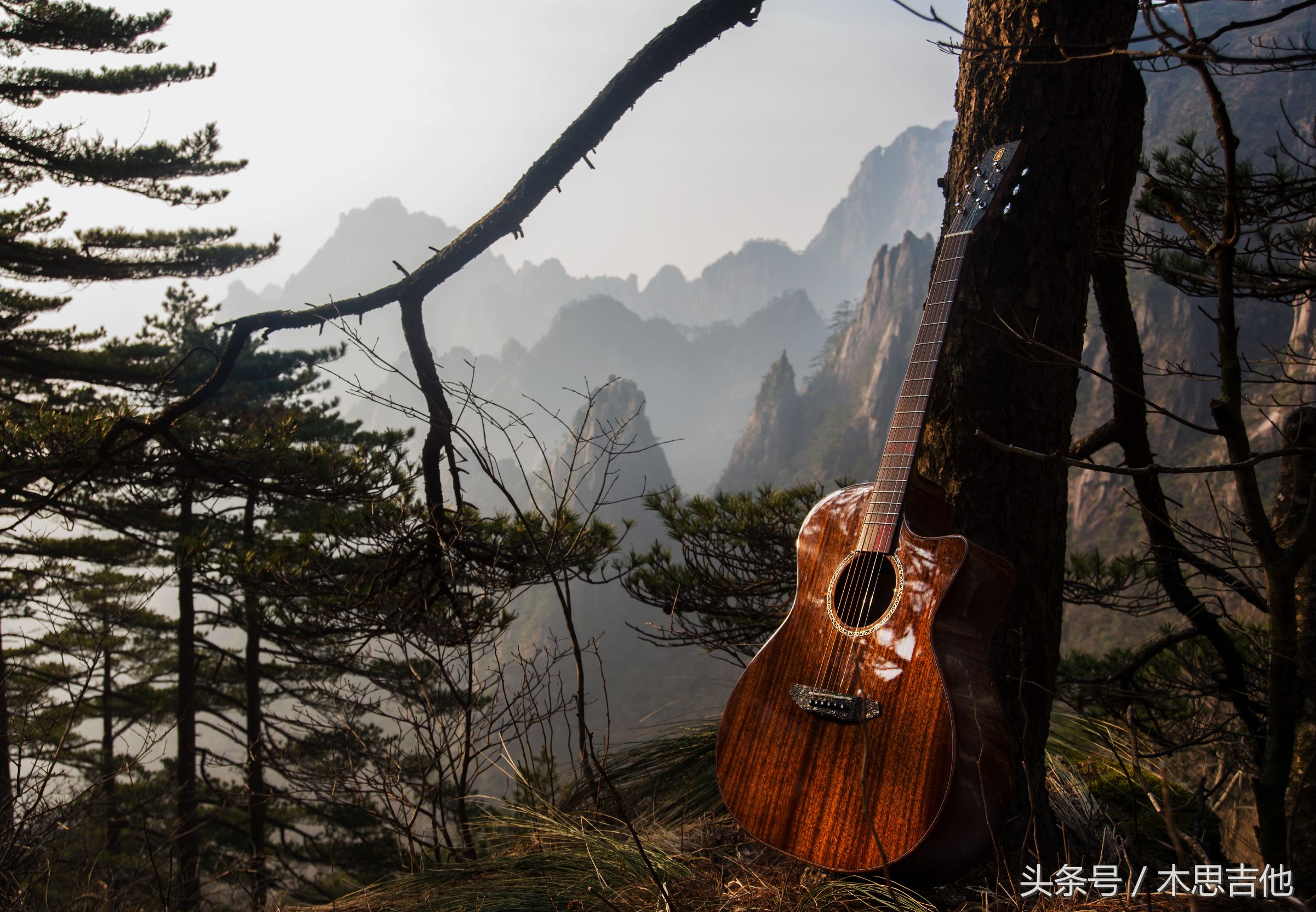 吉他面板什么木材好,最适合做吉他面板的木材