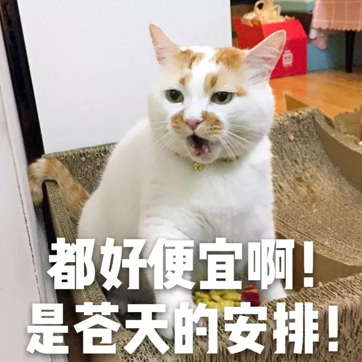 想拥有一个好的妆容,想拥有很多tf眼影色号