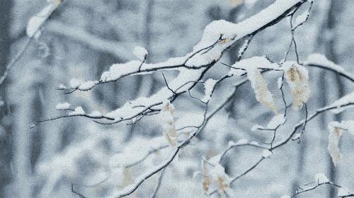 姝ｅ畻鍦熺獞鐑ч浮,鍦熺獞閿＄焊鐑ч浮