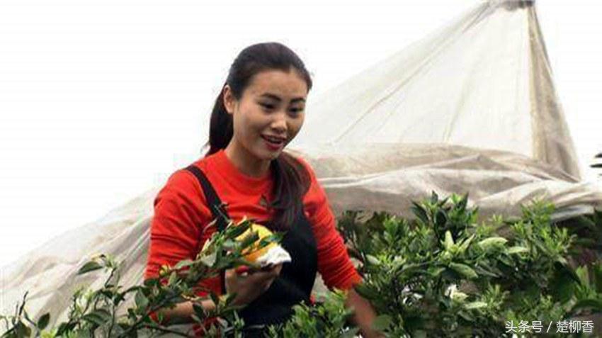 90后大学生婚姻失败负债10万，靠没人要的“丑八怪”，年入千万！