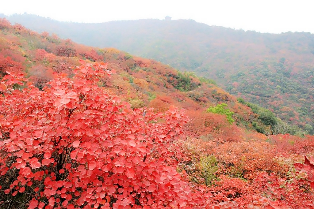 人心换人心将心比心图片,将心比心用心换心图片