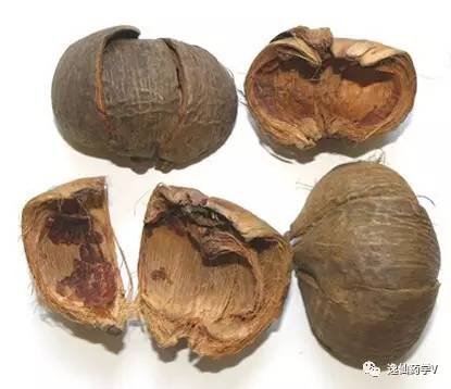 一个植物多个来源的中药,功效相似的药材有哪些中药