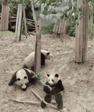 姑娘也是心大，用来洗下面的东西也要喝