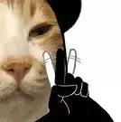 全球美妆博主推荐的口红,全球美妆博主推荐