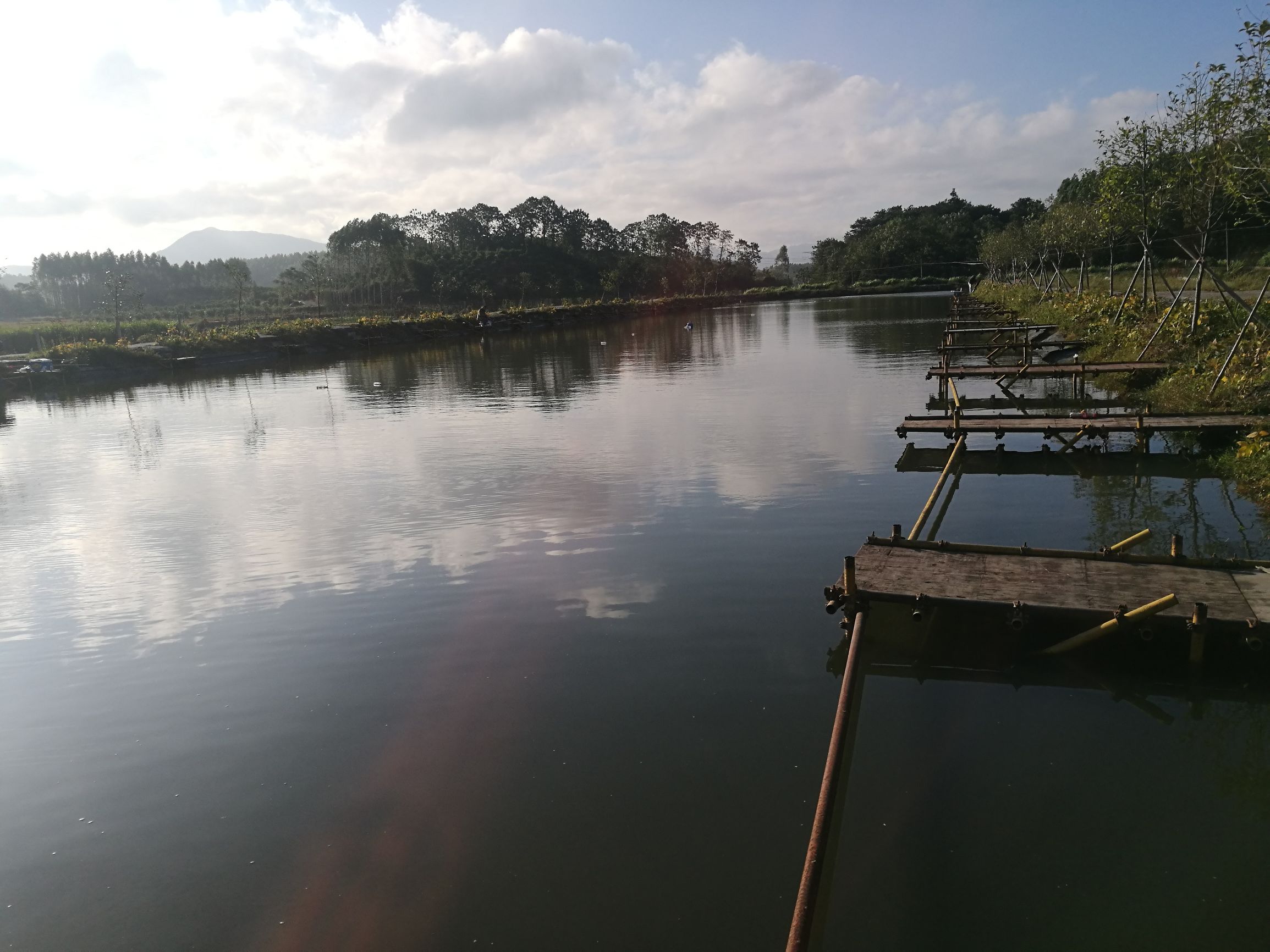 钓鲫鱼浮漂如何收竿,鱼坑钓鲫鱼规避大鱼技巧