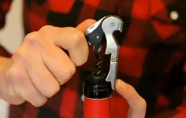 葡萄酒礼仪,葡萄酒礼仪视频