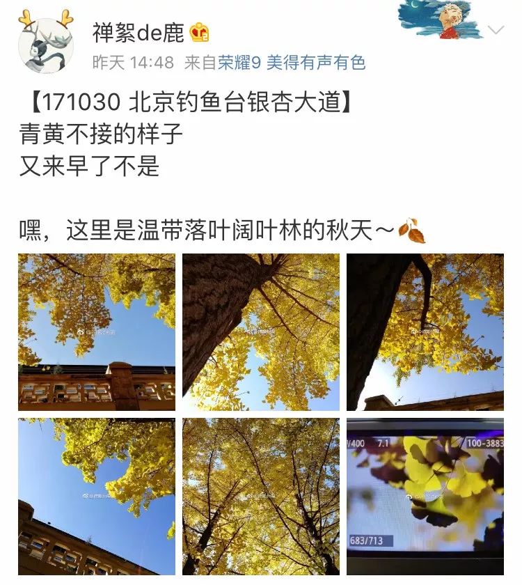 京城赏秋打卡胜地,京城赏荷最佳路线图