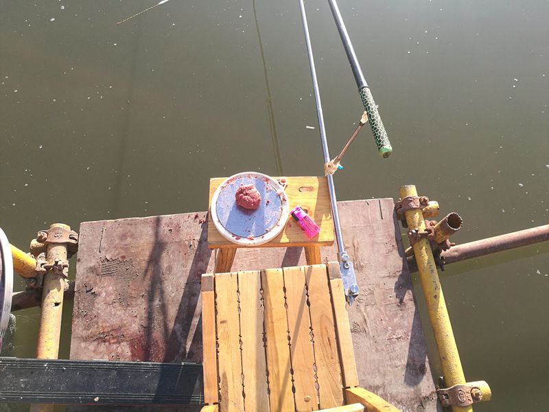 钓鲫鱼浮漂如何收竿,鱼坑钓鲫鱼规避大鱼技巧