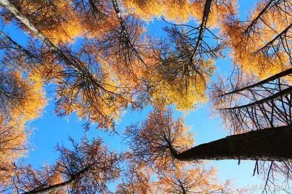 为何不要随便去雅安？