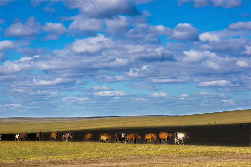 晚秋的草原美景,呼伦贝尔草原晚秋美景