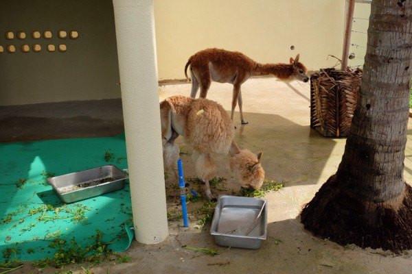 国内亲子游必去的10个海边,假期带孩子去大海旅游推荐