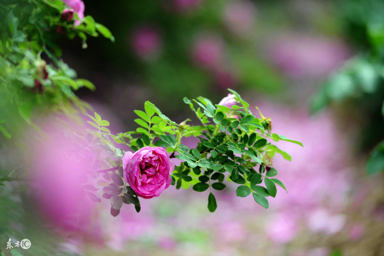 不要再自作多情了,作为女人要自尊自爱不要太暴露