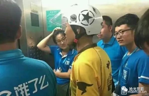 双十一电商大战视频,猫狗狮双11混战视频