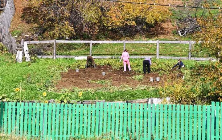 坐火车穿越俄罗斯西伯利亚,欧洲火车途经小镇